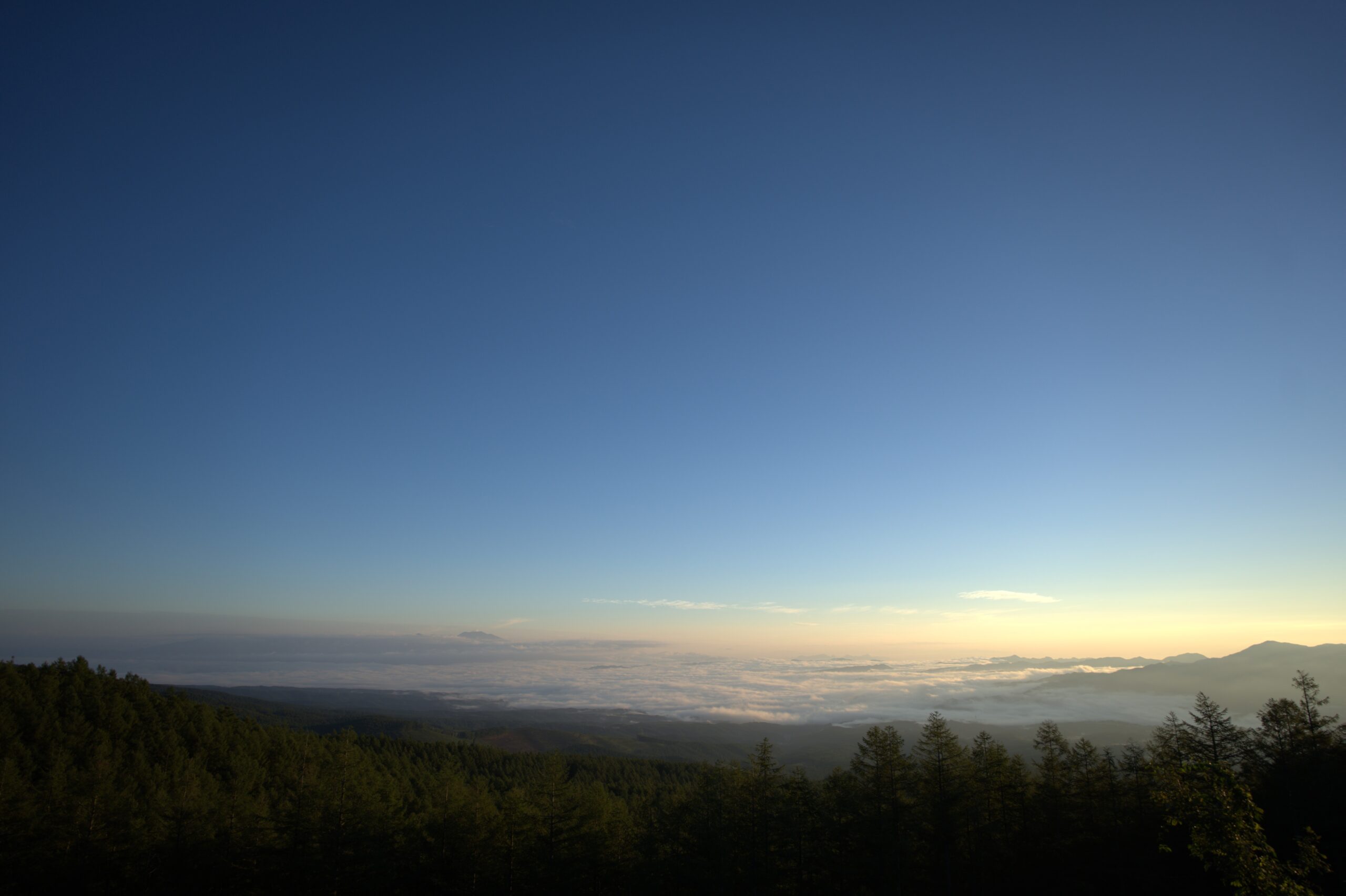 記事サムネイル: 新年のご挨拶（2026）